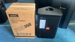 12 inches jbl floor monitor